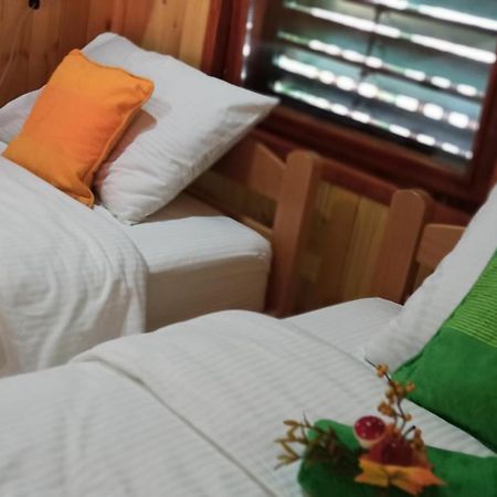 Apartman Orlovo Oko Mandici Extérieur photo